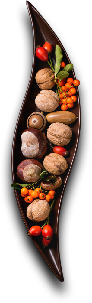 Cafe Holos - Restaurant& Cafe