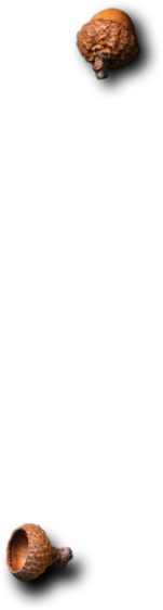 Cafe Holos - Restaurant& Cafe