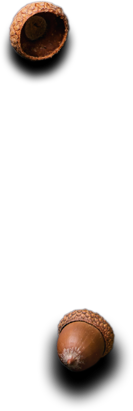 Cafe Holos - Restaurant& Cafe